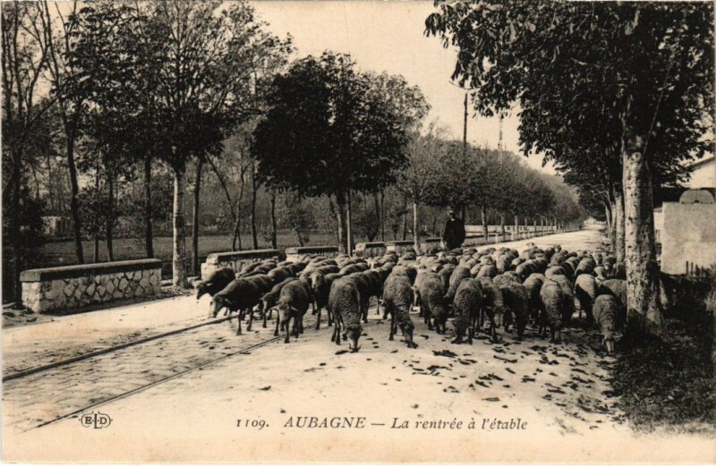Carte postale ancienne Aubagne La rentree a l'etable à Aubagne