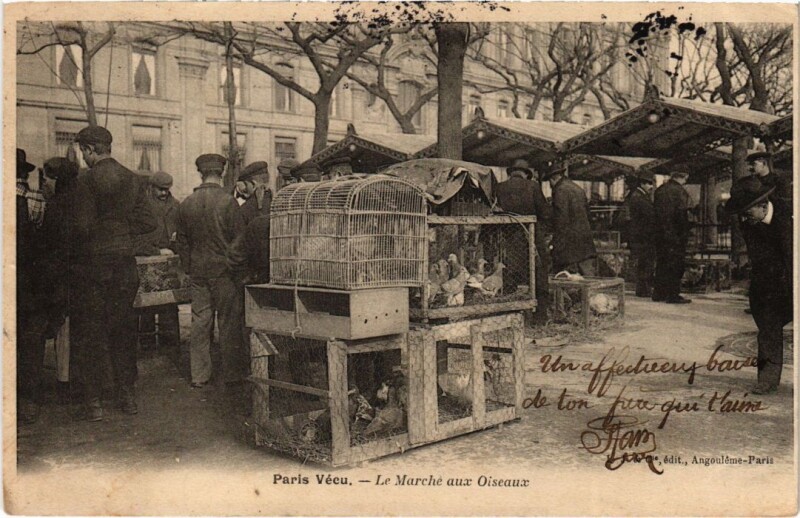 Carte postale ancienne Paris Vecu. Marche aux Oiseaux