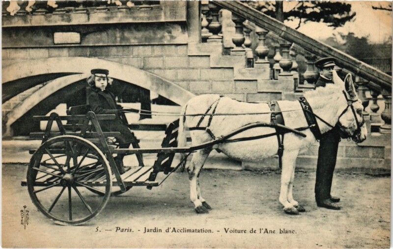 Carte postale ancienne Jardin d'Acclimatation - Voiture de l'Ane blanc à Neuilly-sur-Seine