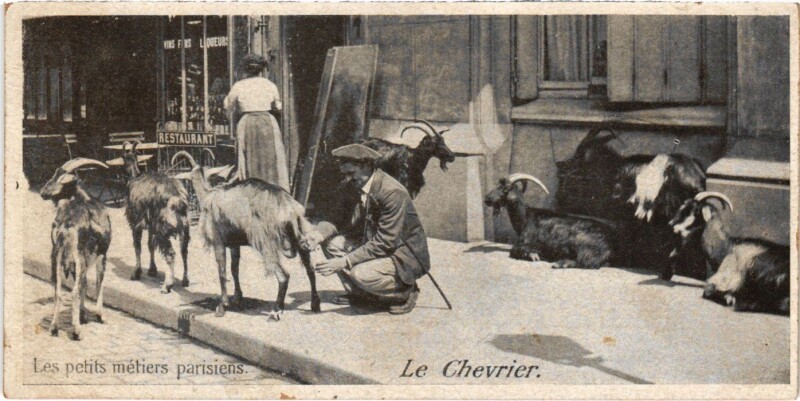 Carte postale ancienne Paris Petits Metiers Le Chevrier