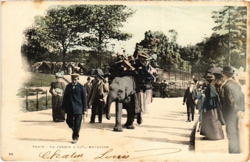 Carte postale ancienne Jardin d'Acclimatation à Neuilly-sur-Seine