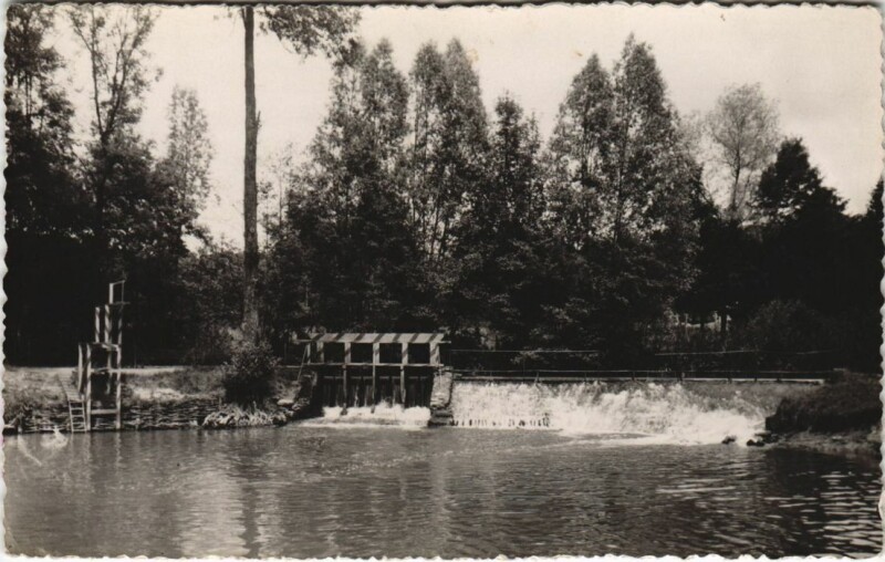 Carte postale ancienne Toucy La Baignade à Toucy