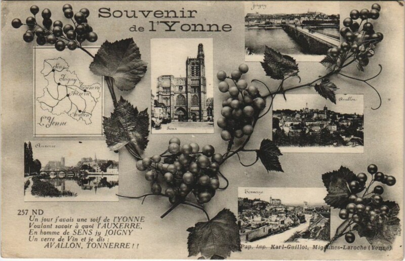 Carte postale ancienne Souvenie de l'Yonne - Town Scenes - Map