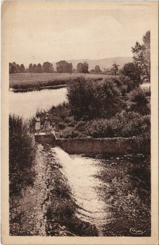 Carte postale ancienne Dannemoine Vue sur l'Armancon à Dannemoine