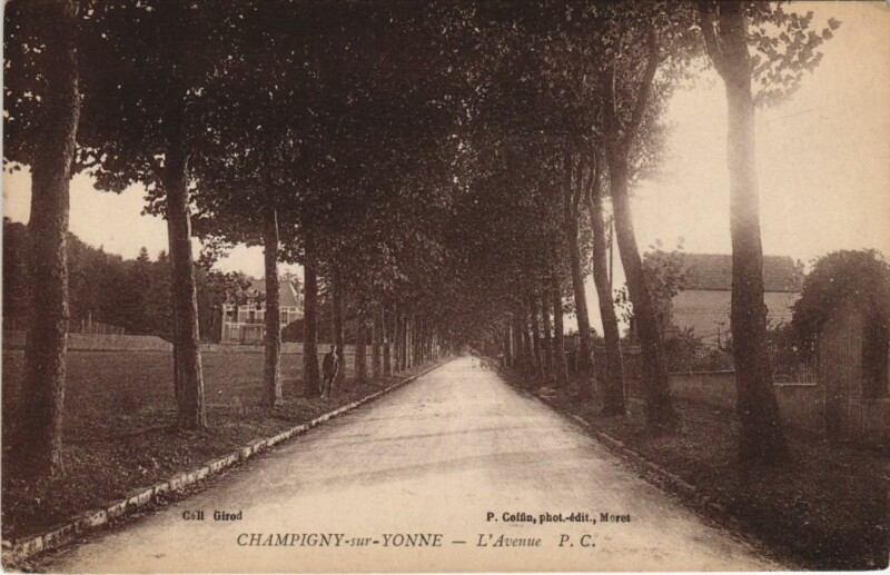Carte postale ancienne Champigny-sur-Yonne L'Avenue à Champigny