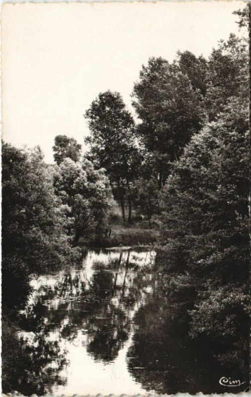 Carte postale ancienne Pontigny Le Serein à Pontigny