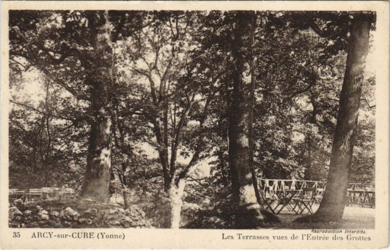 Carte postale ancienne Arcy-sur-Cure Les Terrasses vues de l'Entree des Grotte à Arcy-sur-Cure