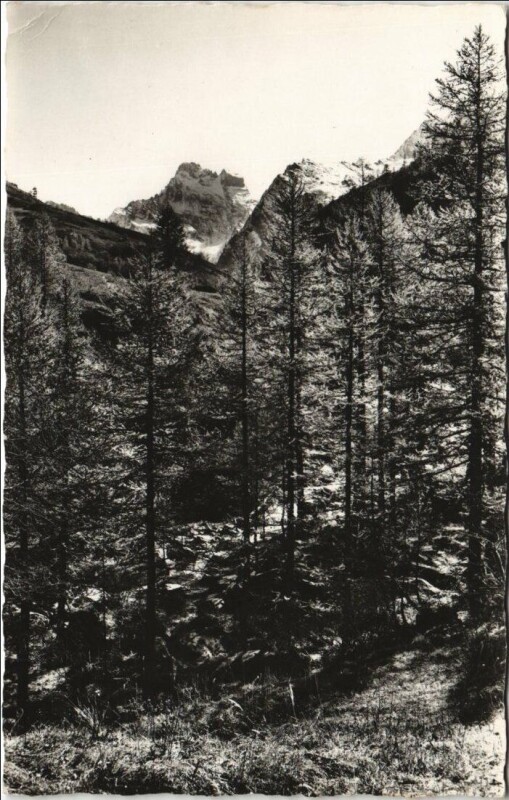 Carte postale ancienne Abries Vue sur le Mont-Viso