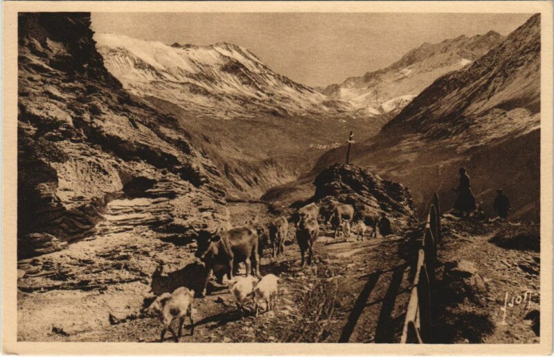 Carte postale ancienne La Grave Le Chazelet - En Route pour les Paturages à La Grave