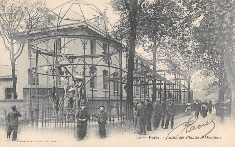 Carte postale ancienne Paris Ve Jardin Des Plantes Oisellerie à Paris 5e
