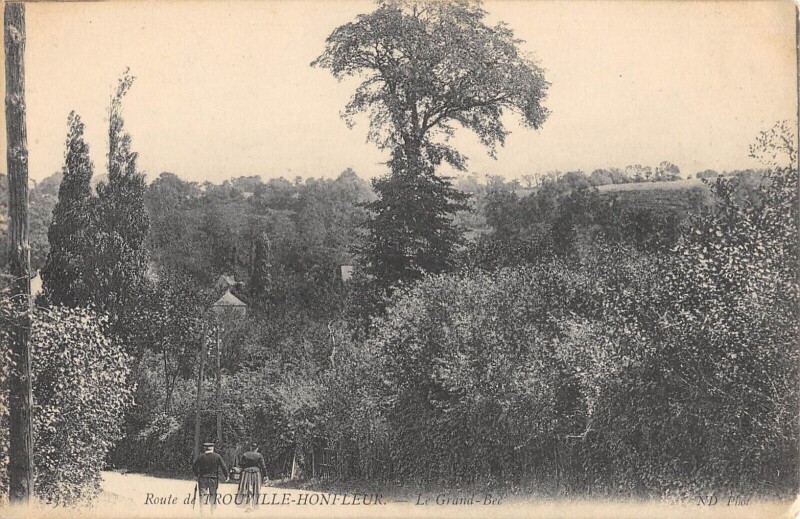 Carte postale ancienne Route De Trouville A Honfleur Le Bec à Honfleur