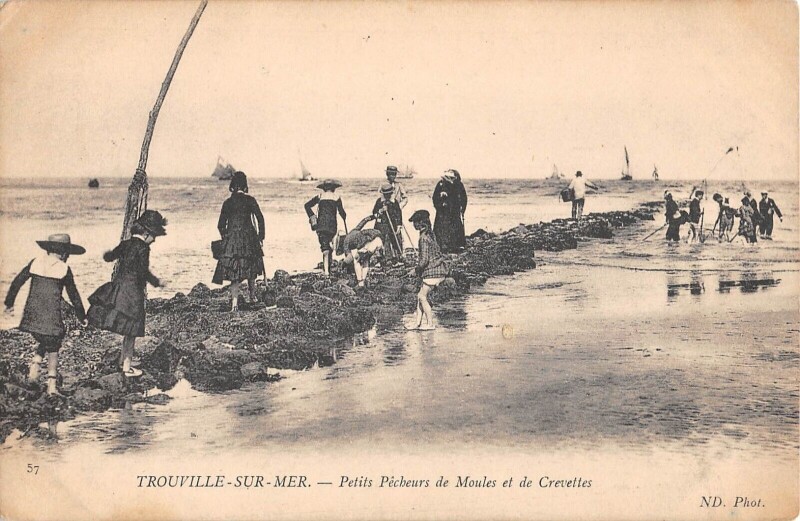 Carte postale ancienne Trouville Sur Mer Petits Pecheurs De Moules Et De Crevettes / Scene Plage à Trouville-sur-Mer