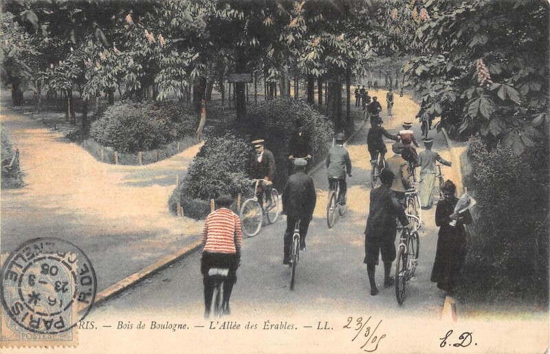 Carte postale ancienne Bois de Boulogne - L'Allée des Erables à Paris 16e