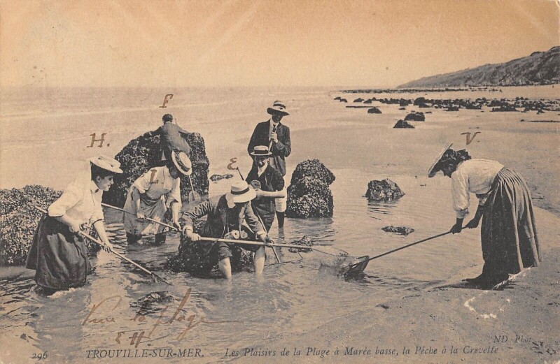 Carte postale ancienne Trouville Sur Mer Les Plaisirs De La Plage A Maree Basse La Peche Crevete à Trouville-sur-Mer