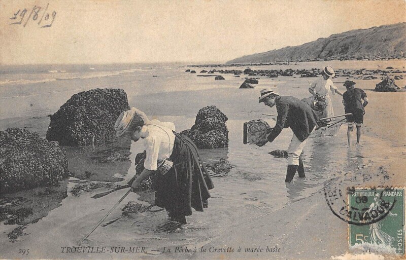 Carte postale ancienne Trouville Sur Mer La Peche A La Crevette A Maree Basse à Trouville-sur-Mer