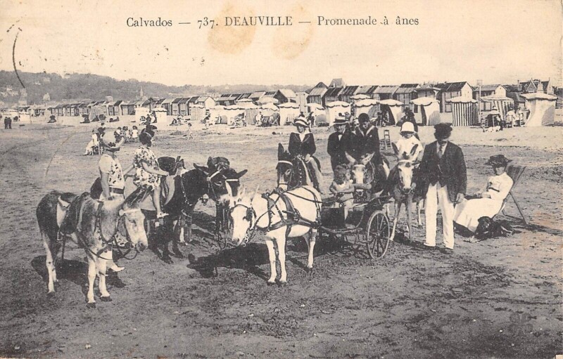 Carte postale ancienne Deauville Promenade A Anes à Deauville