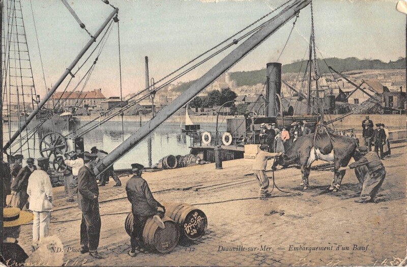 Carte postale ancienne Deauville Sur Mer Embarquement D'Un Boeuf à Deauville