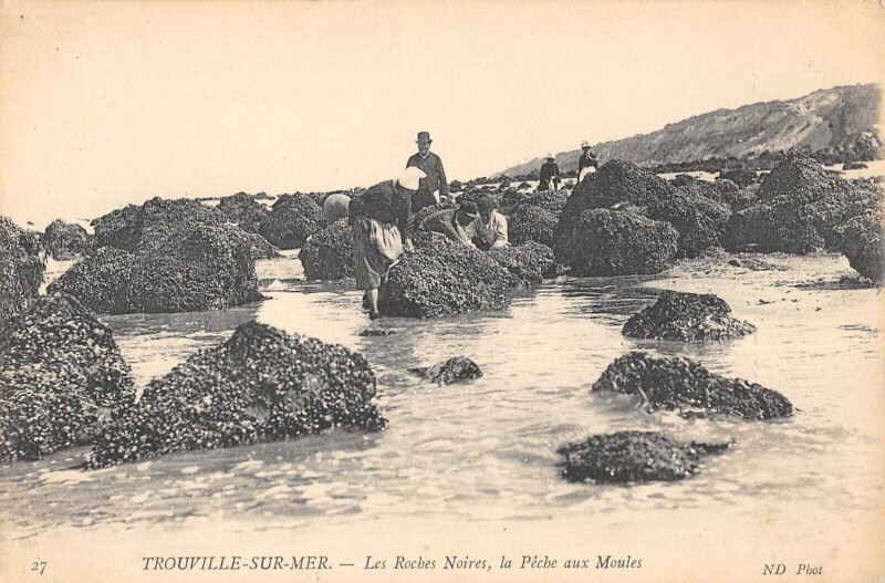 Carte postale ancienne Trouville Sur Mer Les Roches Noires Peche Aux Moules à Trouville-sur-Mer
