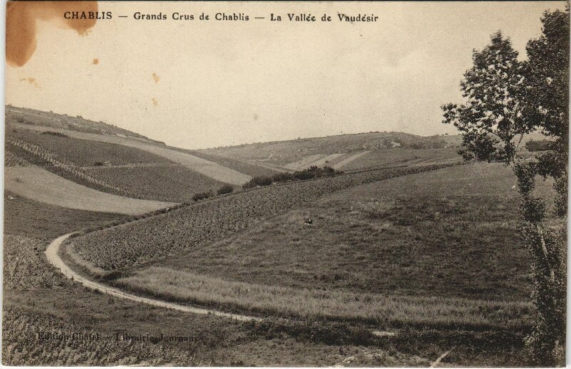 Carte postale ancienne Chablis Grands Crus de Chablis France à Chablis