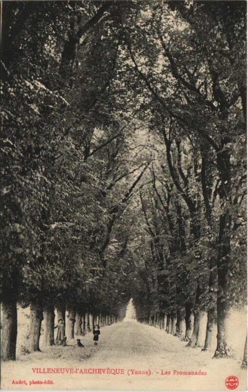 Carte postale ancienne Villeneuve-L'Archeveque Les Promenades France à Menades