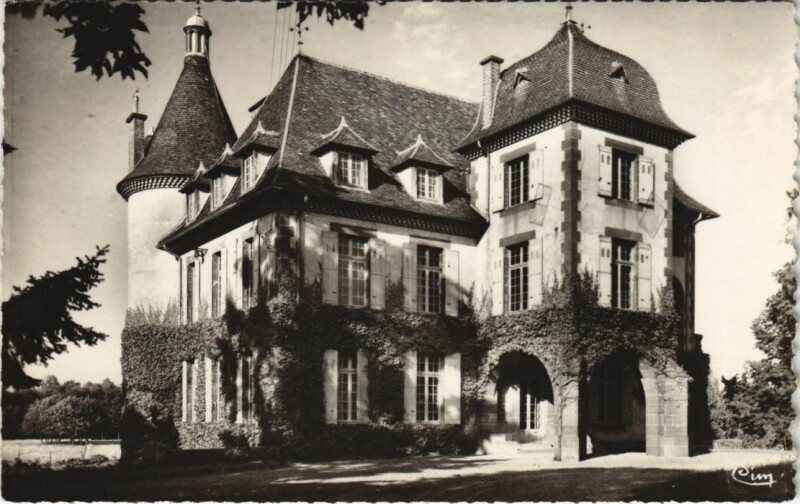 Carte postale ancienne Château de la Colonie de Vacances à Pierrefitte-sur-Loire