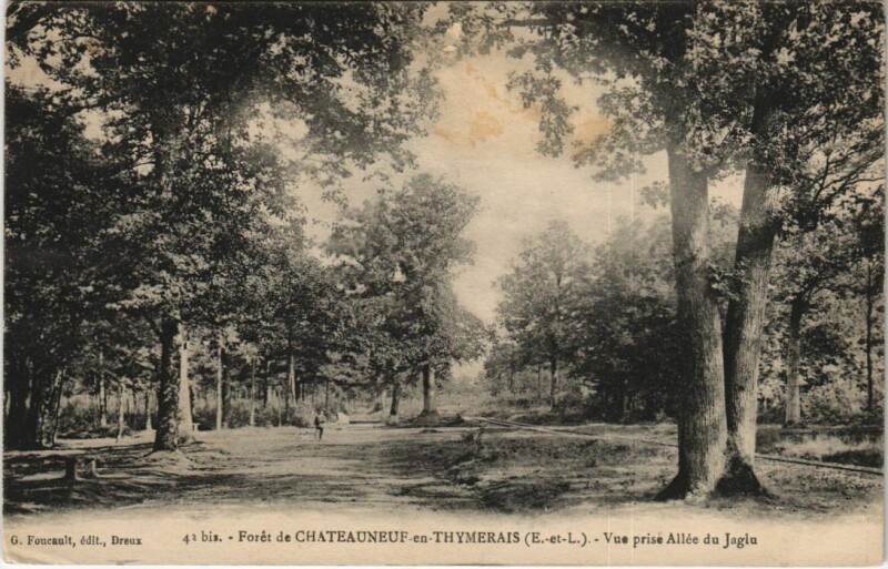 Carte postale ancienne Foret de Chateauneuf-en-Thymerais - Vue prise Allee du Jagiu