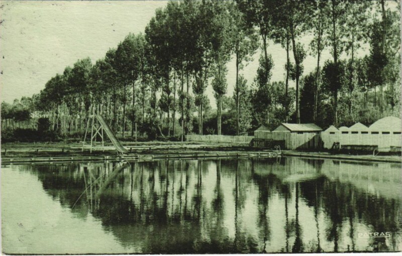 Carte postale ancienne Senonches La Piscine et l'Allee de Badouleau à Senonches