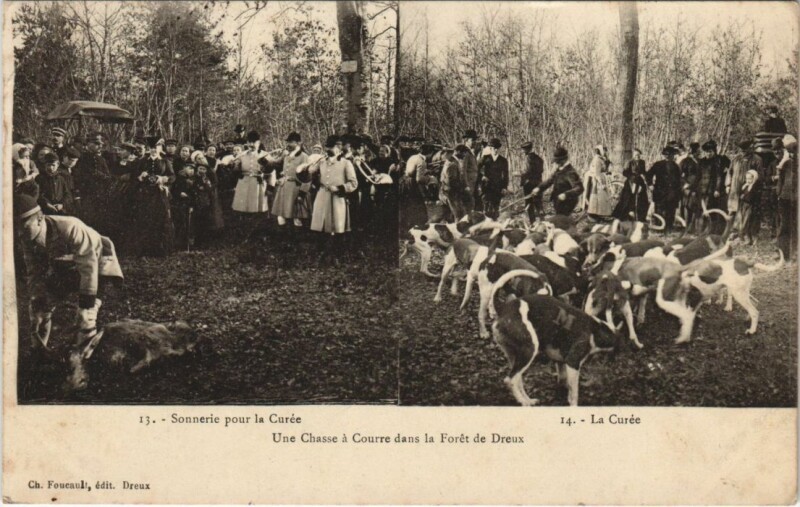Carte postale ancienne Dreux Une Chasse a Courre dans la Foret France à Dreux