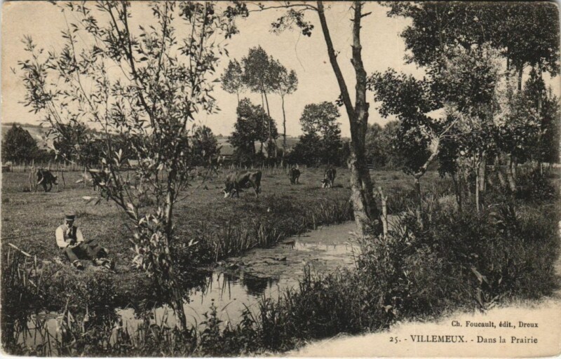 Carte postale ancienne Villemeux Dans la Prairie France