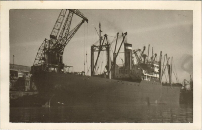 Carte postale ancienne American Flyer - United States Lines Ships