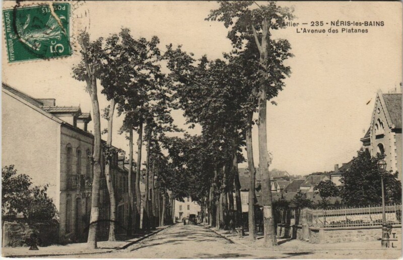 Carte postale ancienne Neris les Bains Avenue des Platanes