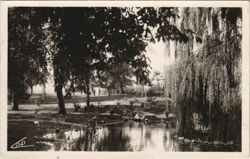 Carte postale ancienne Vichy Les Parcs et le nouveau Bassin des Cygnes à Vichy