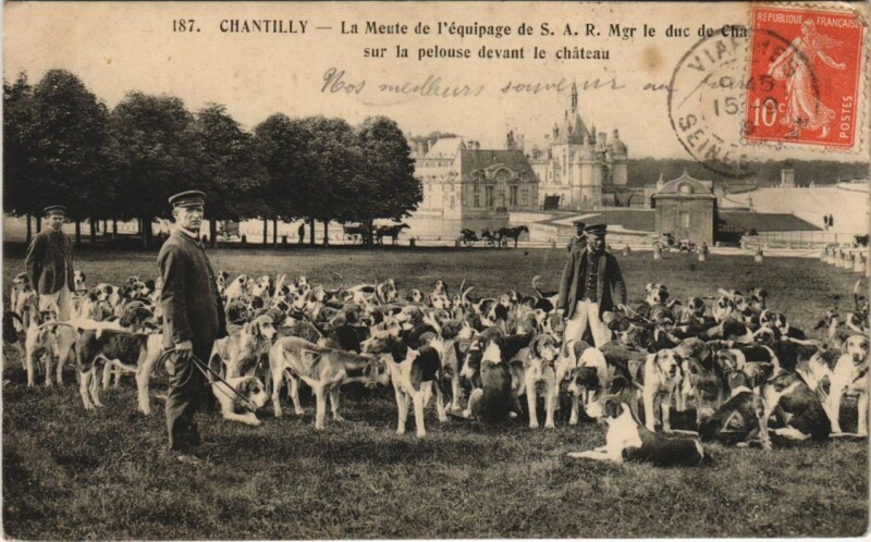 Carte postale ancienne Chantilly Hunt - Hunting - Hounds à Antilly