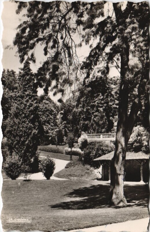 Carte postale ancienne Vichy Un coin du Magnifique parc des Celestins à Vichy