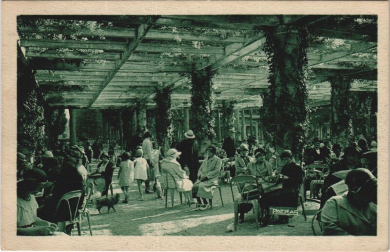 Carte postale ancienne Vichy Sous les Pergolas à Vichy