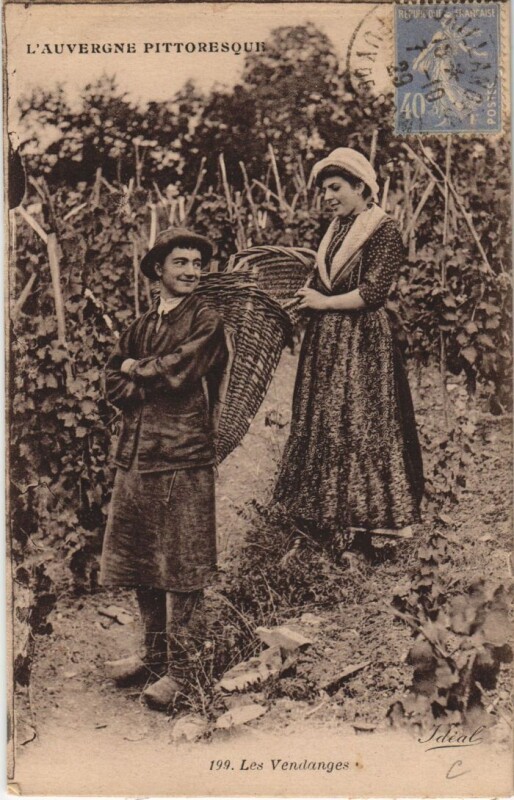 Carte postale ancienne L'Auvergne Pittoresque - Les Vendanges