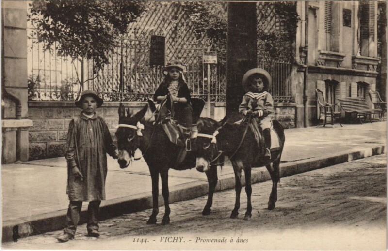 Carte postale ancienne Vichy Promenade a Anes à Vichy