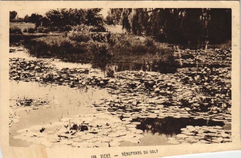 Carte postale ancienne Vichy Nenuphars du Golf à Vichy