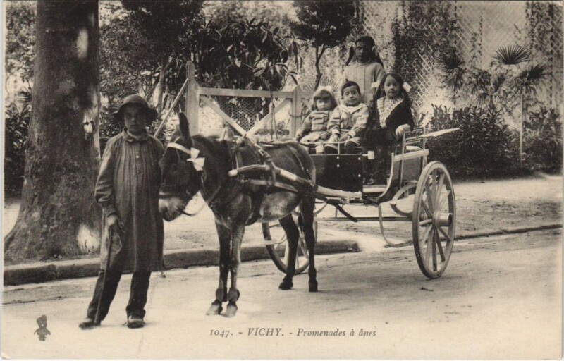 Carte postale ancienne Vichy Promenade a Anes à Vichy
