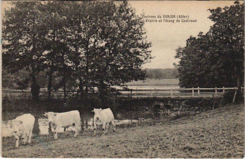 Carte postale ancienne Le Donjon Environs - Prairie et l'Etang de Contresol au Donjon