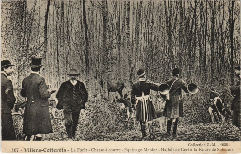 Carte postale ancienne Villers-Cotterets La Foret