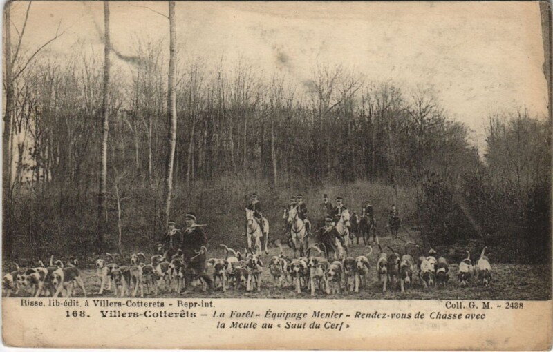 Carte postale ancienne Villers-Cotterets La foret