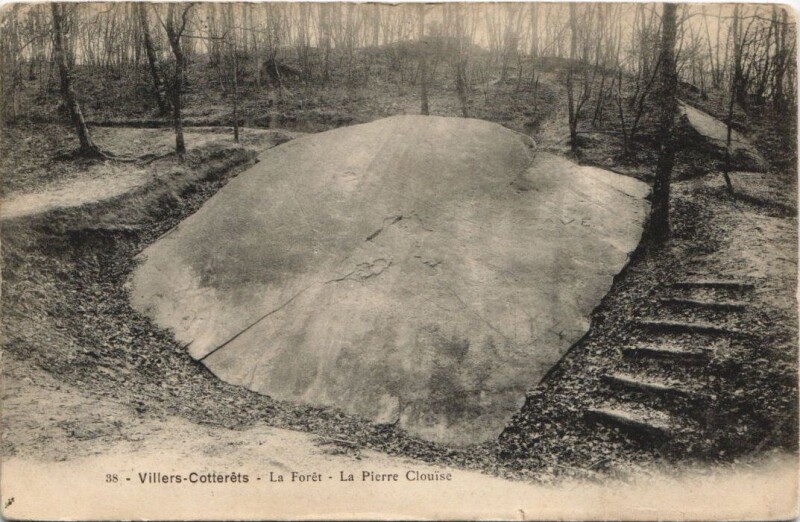 Carte postale ancienne Villers-Cotterets La foret