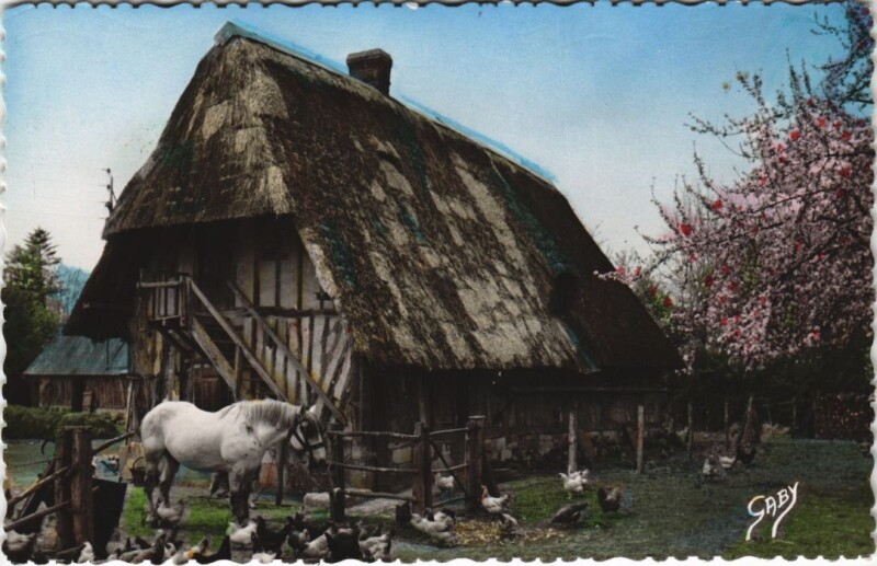 Carte postale ancienne La Normandie - Toute la Ferme