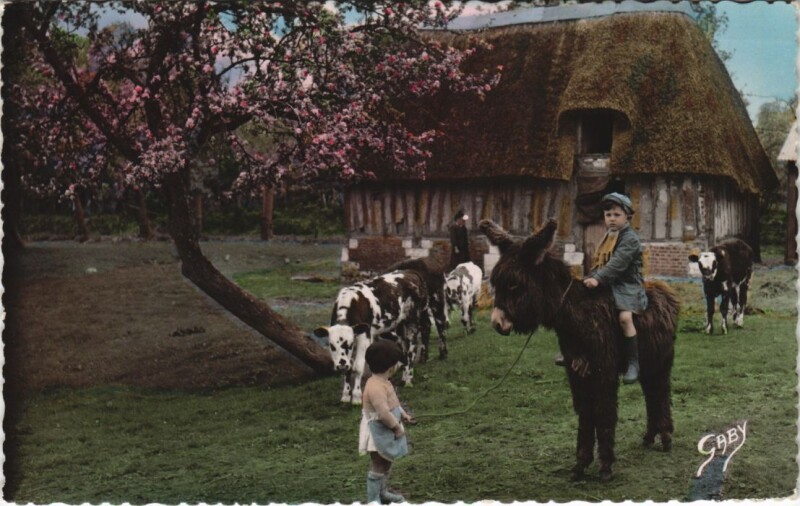 Carte postale ancienne La Normandie - Bons Amis