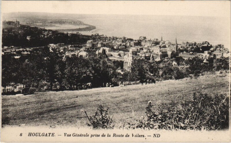 Carte postale ancienne Houlgate Vue Generale prise de la Route de Villers à Houlgate