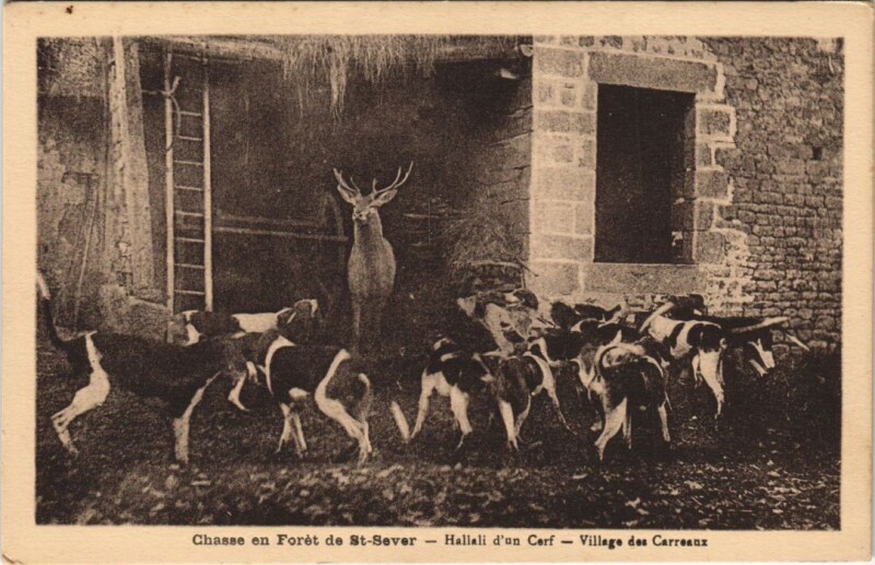 Carte postale ancienne Saint-Sever Chasse en Foret de Saint-Sever