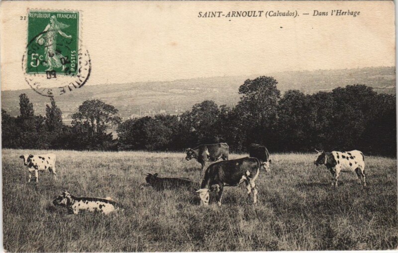 Carte postale ancienne Saint-Arnoult Dans l'Herbage à Saint-Arnoult