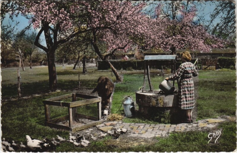 Carte postale ancienne La Normandie - Jeune Fermiere au Puits