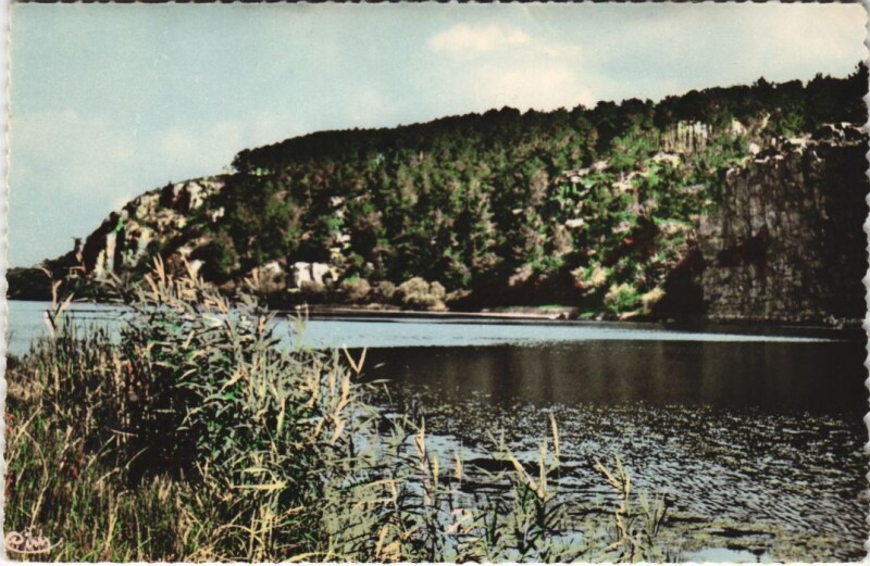 Carte postale ancienne Redon L'Ile aux Pies à Redon